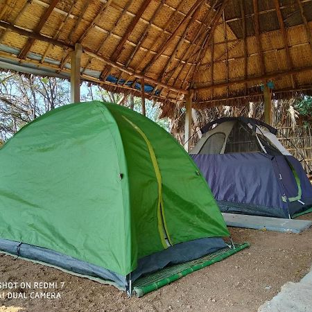 Hotel Drunken Monkey Camping Site Hampi Zewnętrze zdjęcie