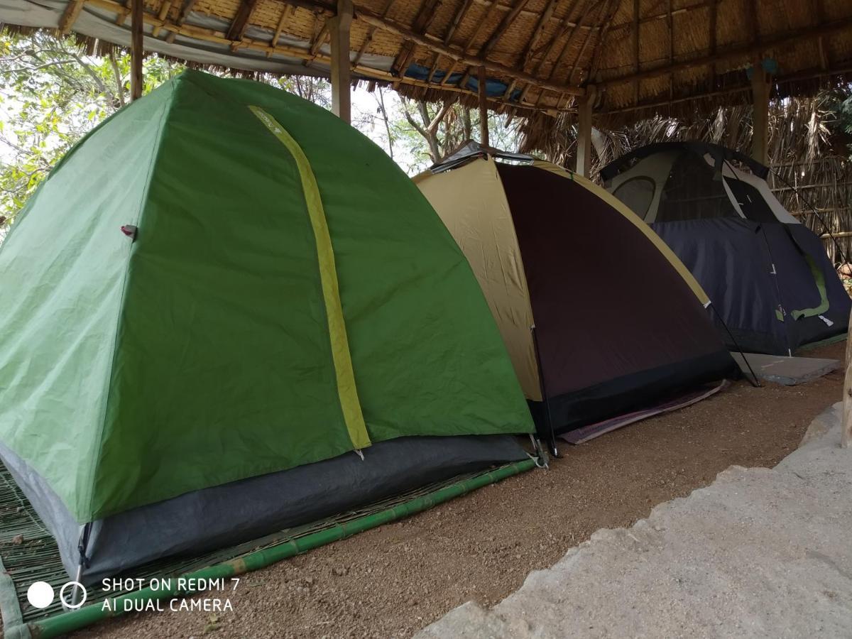 Hotel Drunken Monkey Camping Site Hampi Zewnętrze zdjęcie